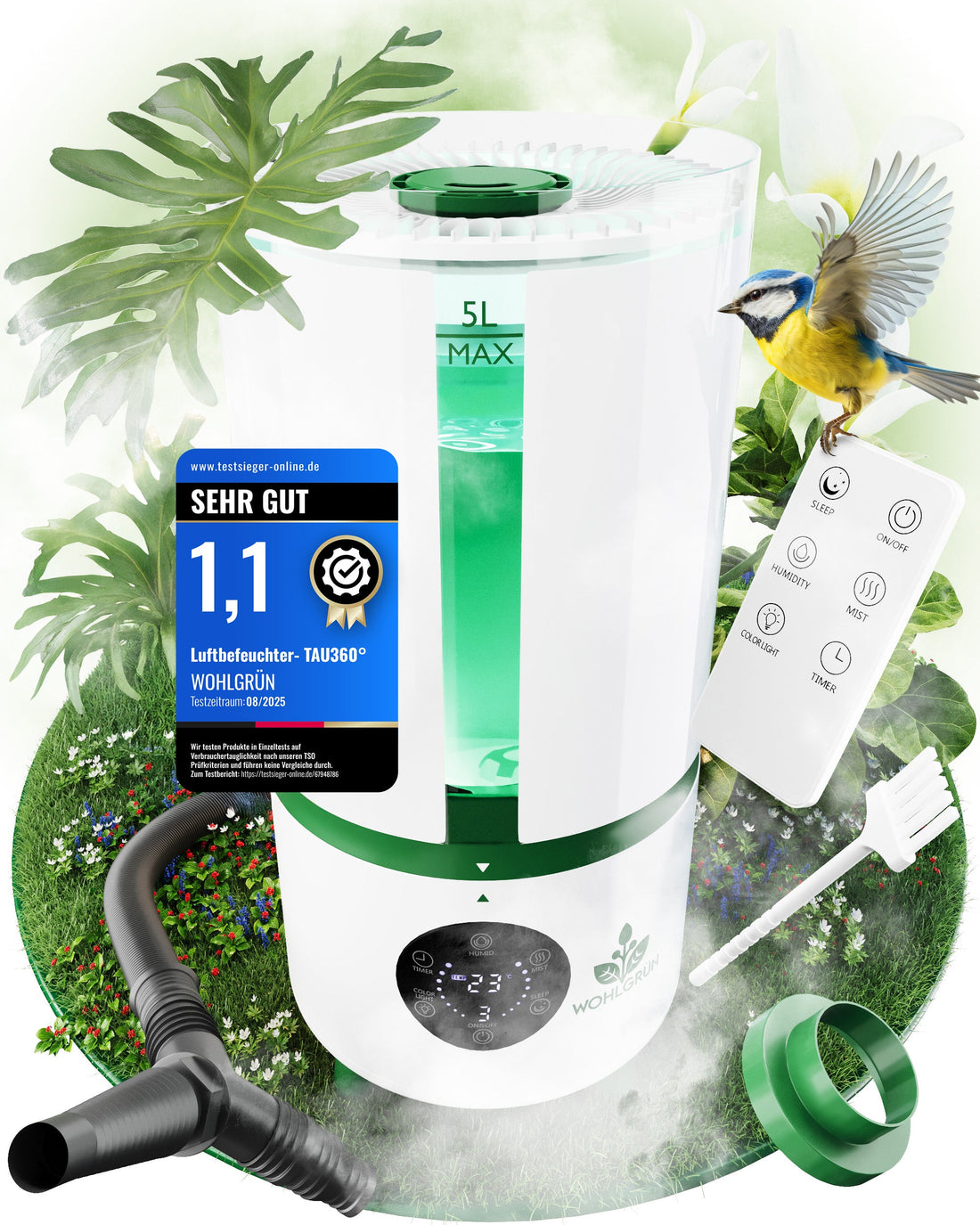 Luftbefeuchter für Pflanzen: Warum deine grünen Lieblinge wirklich davon profitieren