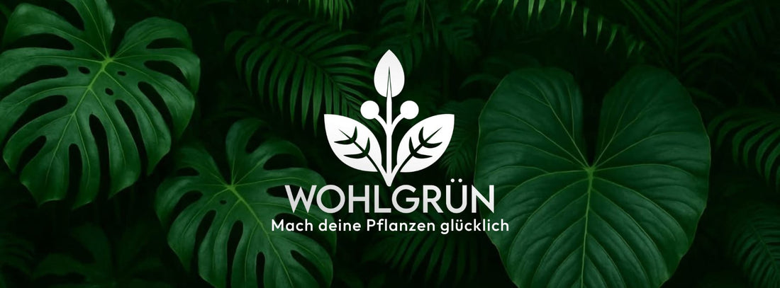 Der richtige Luftbefeuchter fürs Growzelt: Mehr Ertrag, weniger Stress – 2026 richtig gemacht