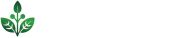 WOHLGRÜN