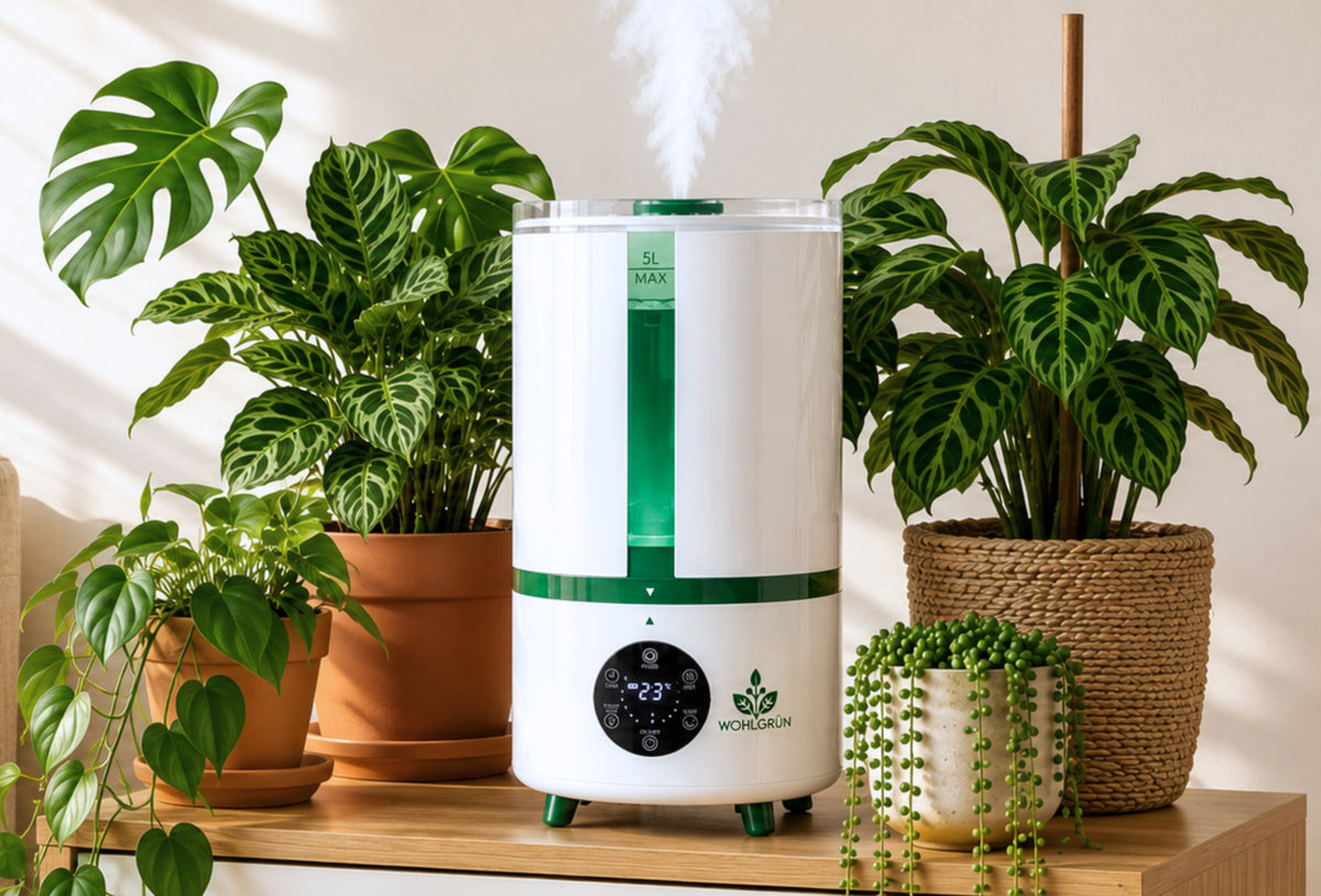 Gesunde Pflanzen. Besseres Raumklima.